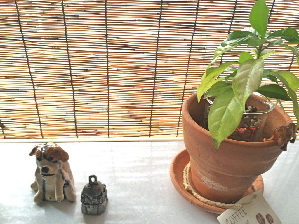 Guesthouse Oasis أوساكا المظهر الخارجي الصورة